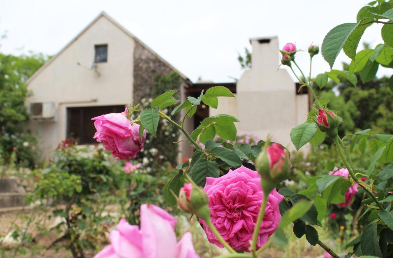 Vakantieboerderij Wildebraam Berry Estate